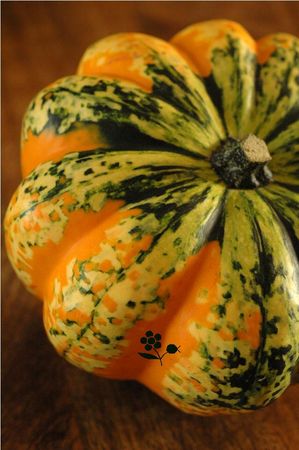 Patidou_orange_2