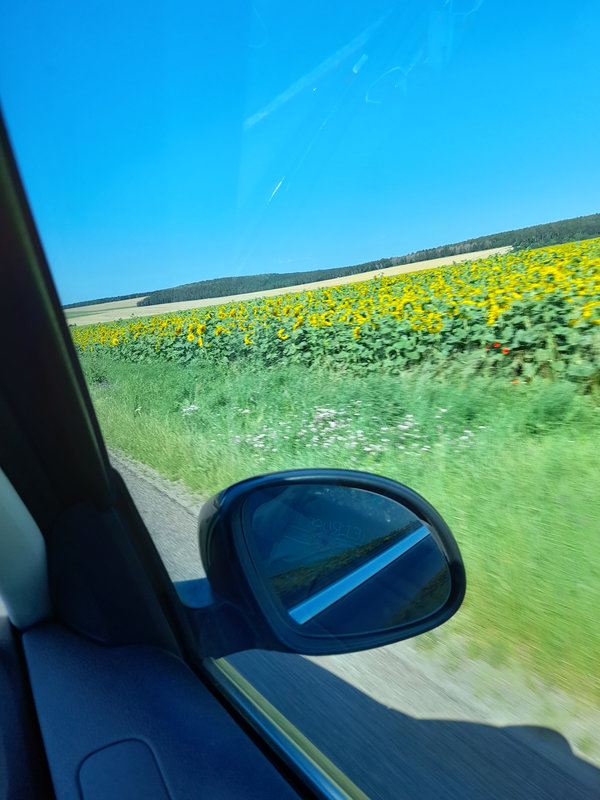 20210719_165728