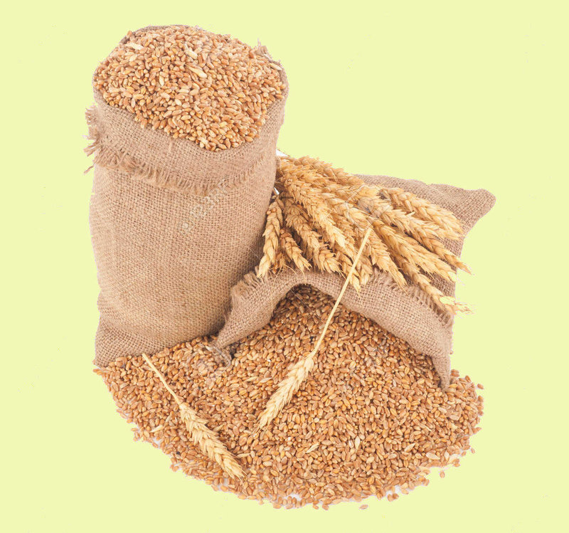 95-06-18 1 Grains sacs de blés