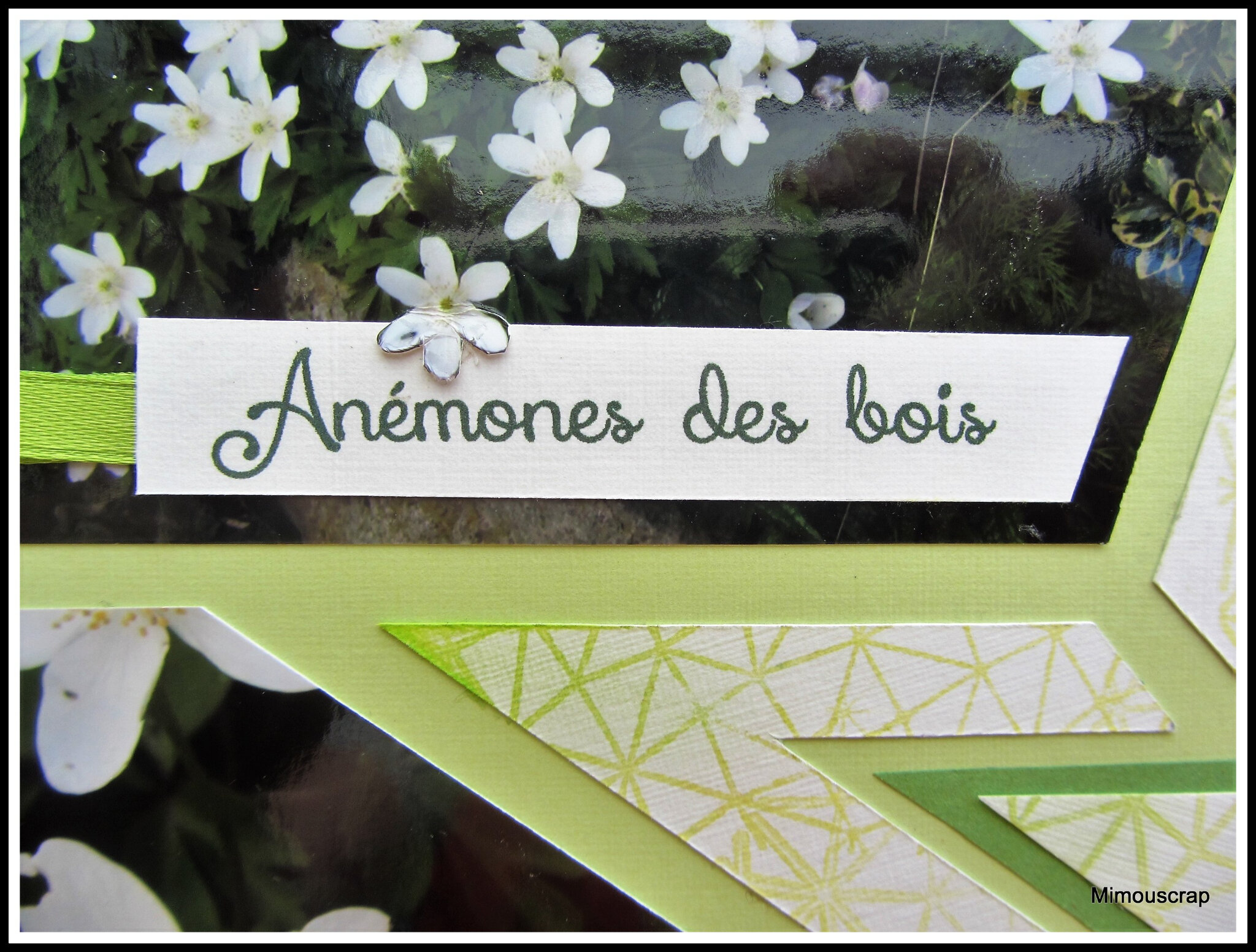 Jardin 2016 012