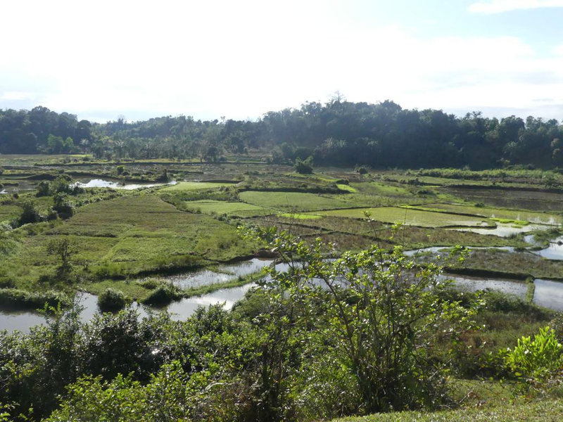 P1240051