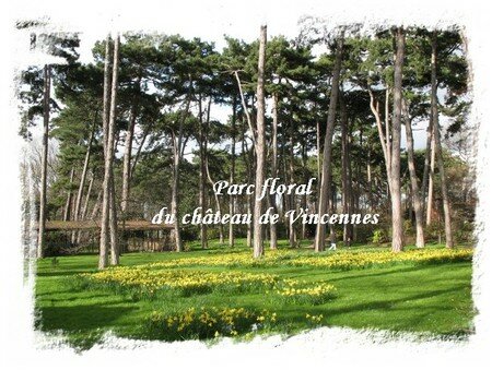 Parc_floral_de_Paris