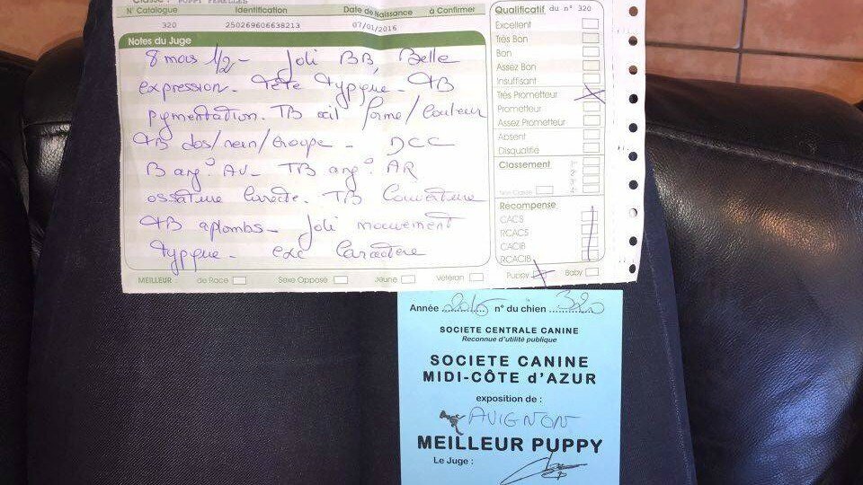 Jugements de MOLLY de la DULLAGUE