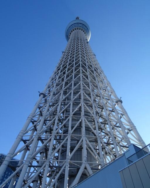 DSC06511