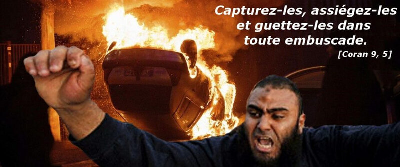 photo_titre-1024x428