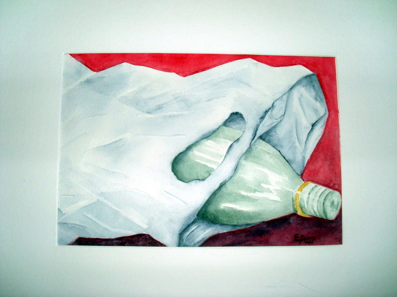 bouteille et sachet 2009