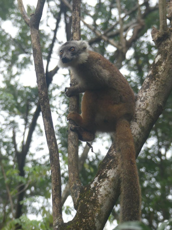 P1250075
