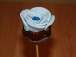 cake_pop_s_fleur_048