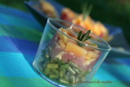 timbale_thon_papaye_en_verrine