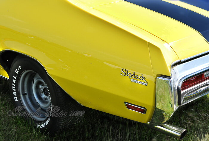 skylarkGS_Tasunkaphotos2018_04