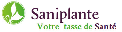 saniplante-test-logo-1552920098
