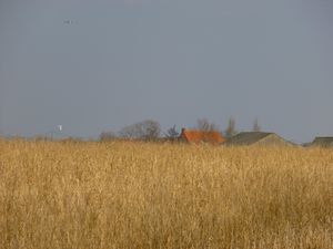 poperinge 27 mars 2013 (56)