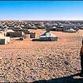 الصحراء الغربية ومآل المساعدات الغذائية في تندوف