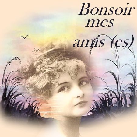 bonsoir_mes_amis__es_