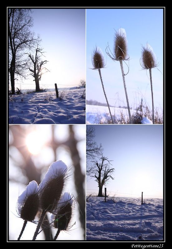 Sans_titre_4