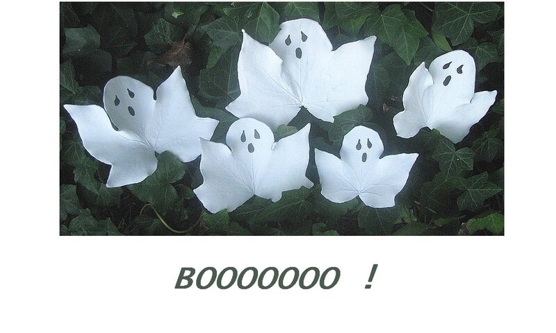 Bhooooo 1