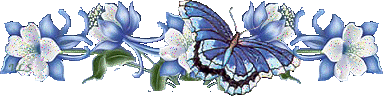 frise papillon