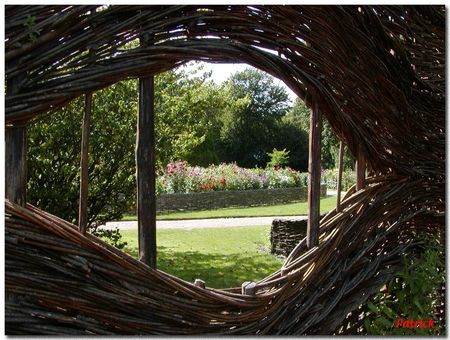 Oeil_du_potager1