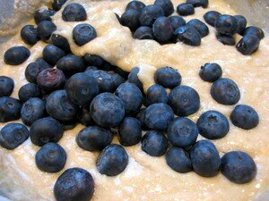 blueberry_muffins_02