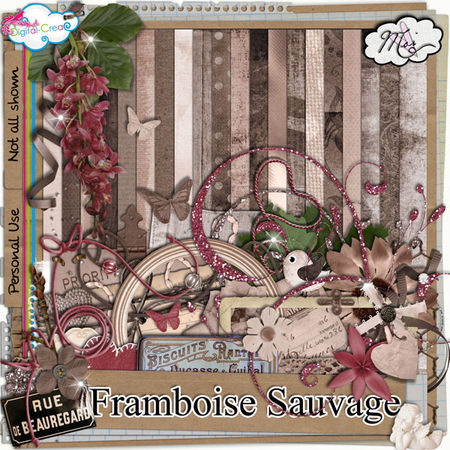 preview_framboisesauvage_moi