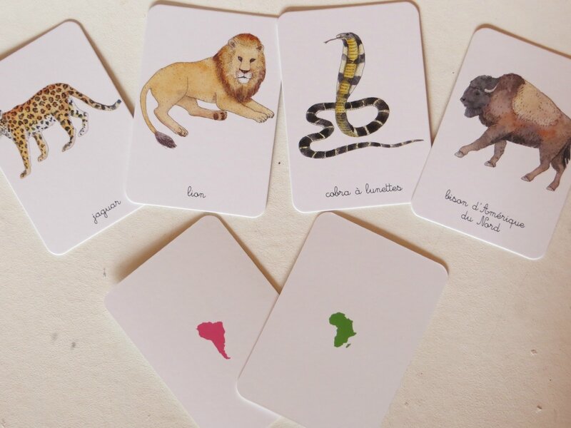 Mon coffret Montessori des animaux 2