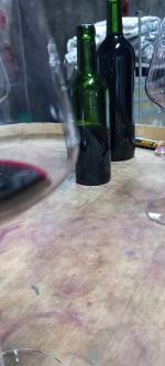 IMG_20231125_111107