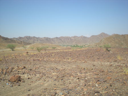 Wadi_Asimah_novembre_2009_032