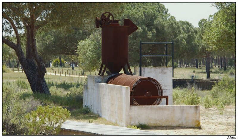 périple ornithologique en andalousie