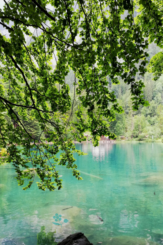 SUISSE_Blausee_3