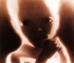 2001_a_space_odyssey_baby_1_