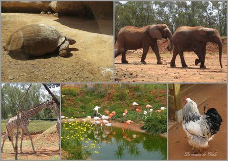 Zoo Rabat