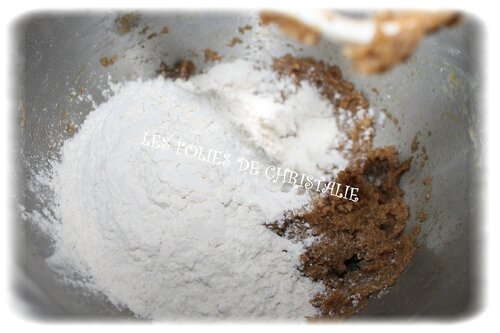 Spéculoos 4