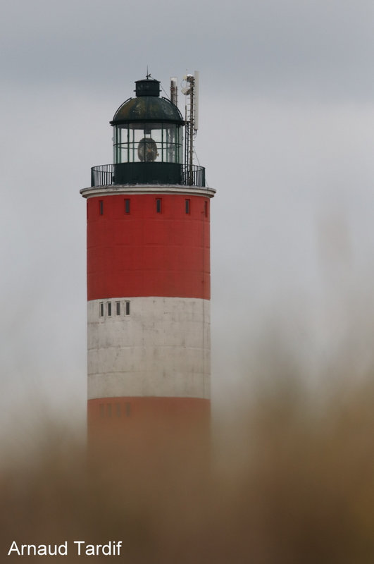 001397 Baie de Somme Septembre 2021 - La Baie d'Authie - Le phare de Berck