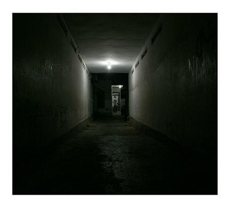 _wsb_500x453_obscurite_i2