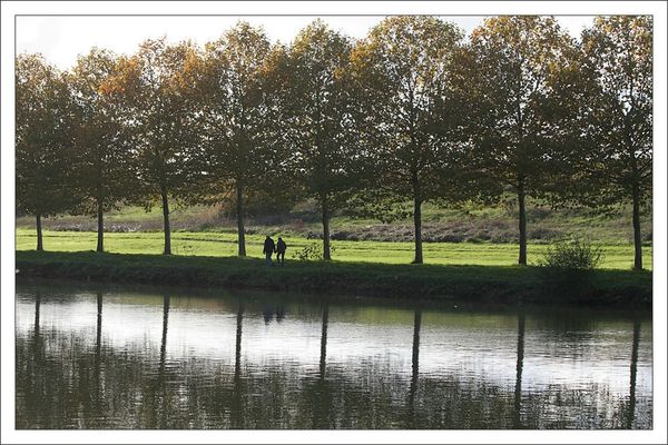 paysage arbres couple 111112