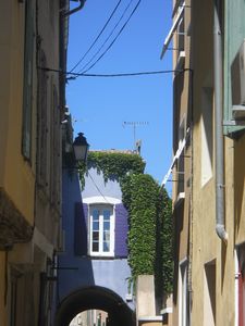 DSCN3606