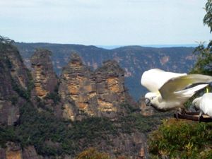 Balade Blue mountains Oct 2011 359_edited