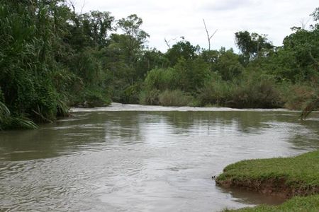 RUISSEAU_TRES_JOLIE_DANS_VERDURE