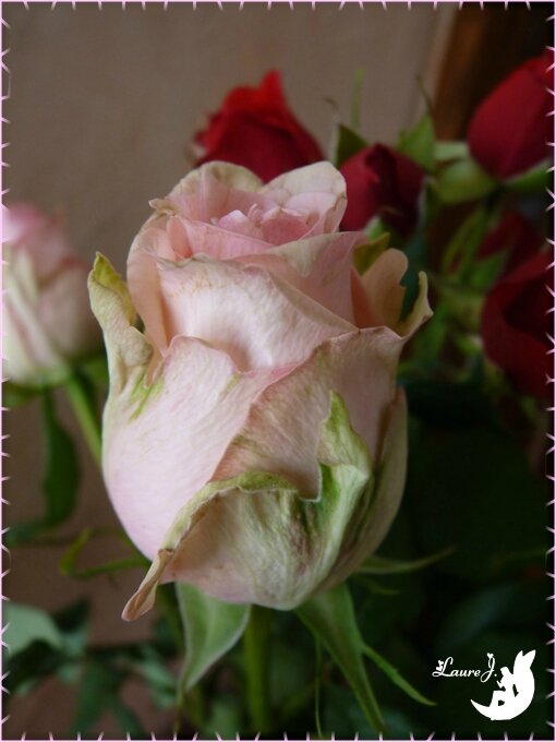 bouquet Amour 6