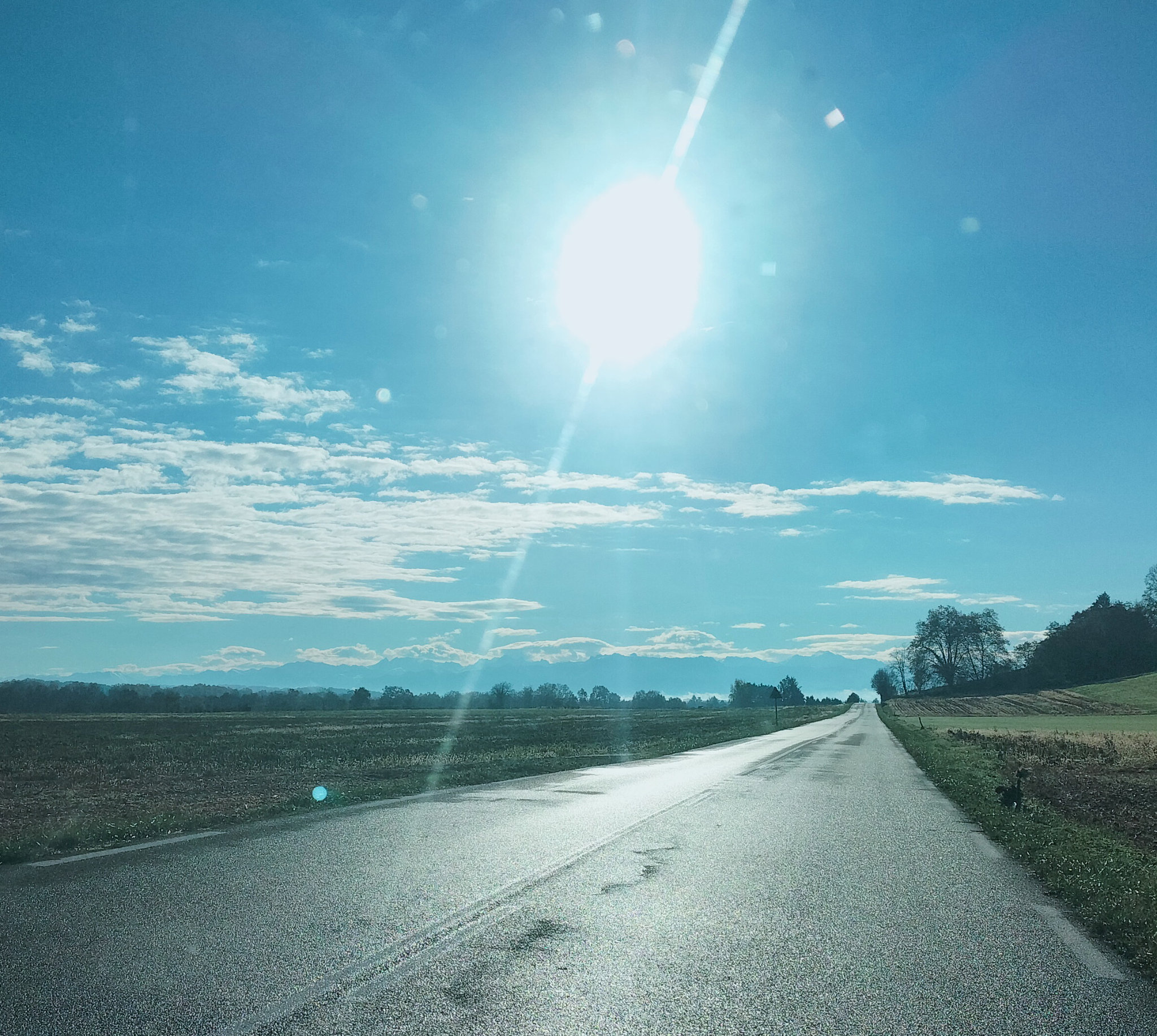 RD936, vers Sauveterre-de-Béarn