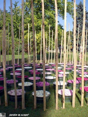 Bassines_de_petales_de_rose