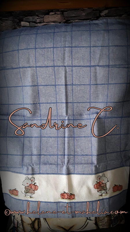 5 sandrine c_salnuageautomne22_FR_grille cadeau