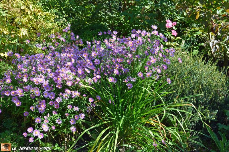 Le Jardin de Chantal à Jouy-le-Potier