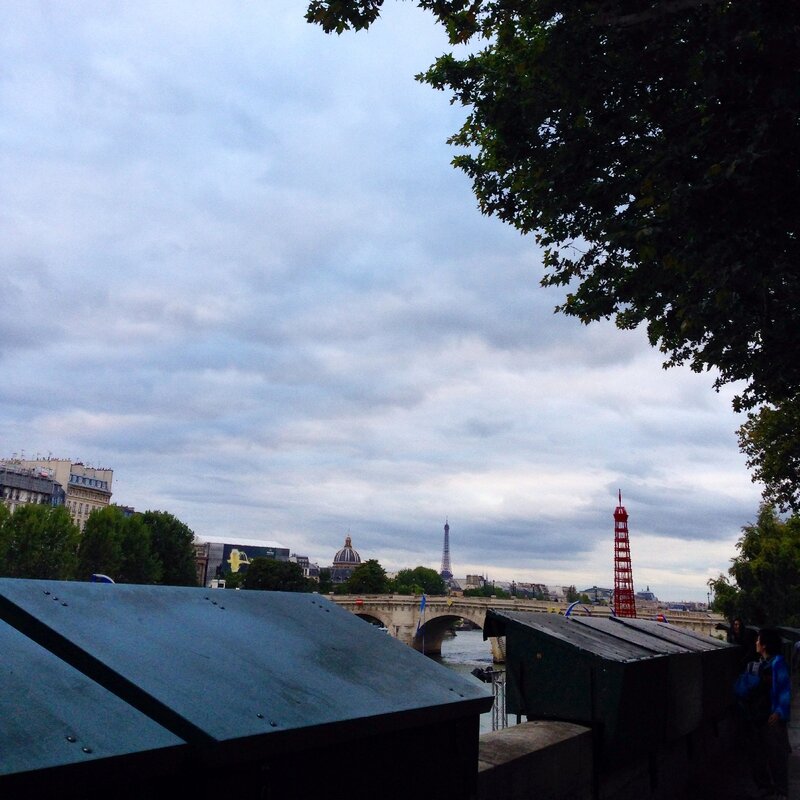 Bouquinistes et tourS Eiffel