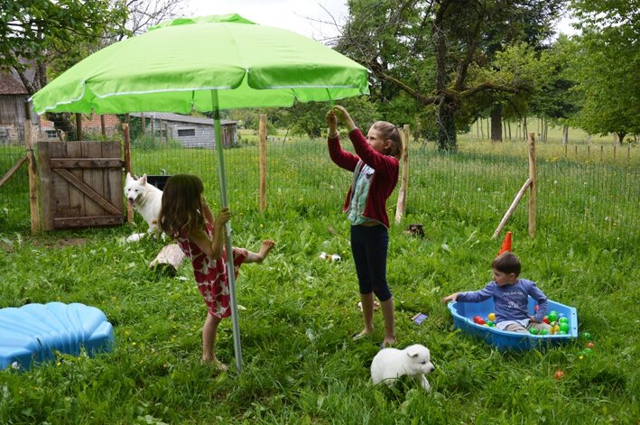 élevage de chien en haute vienne