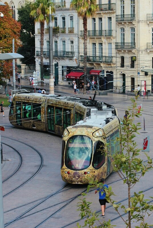 Montpel-Sète 2016 261