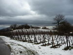 ciel_d_hiver_sur_le_Kastelberg