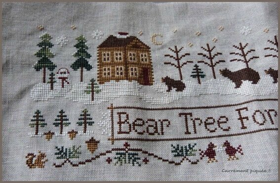 bear-tree-suite