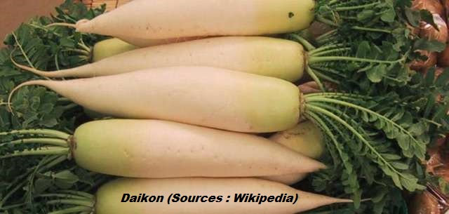 Daikon