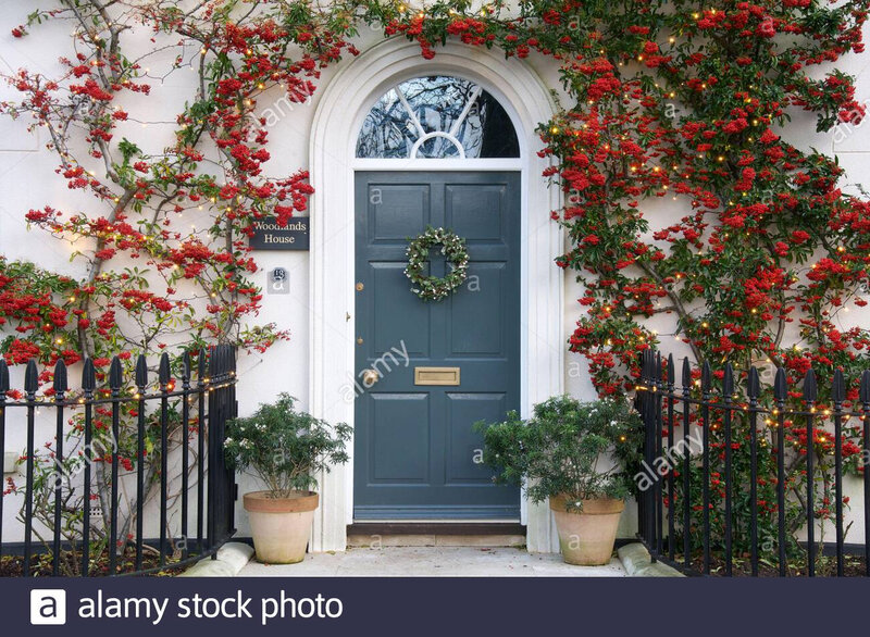 front-door-of-a-house-decorated-with-a-christmas-wreath-framed-by-a-pyracantha-plant-covered-in-red-berries-and-xmas-lights-poundbury-dorchester-uk-2BF7TMB
